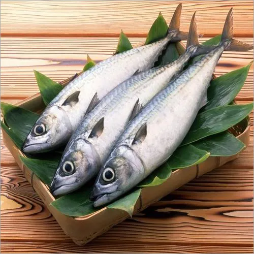 Atlantic Salmon